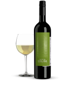 Vinho Santa Colina Moscato...