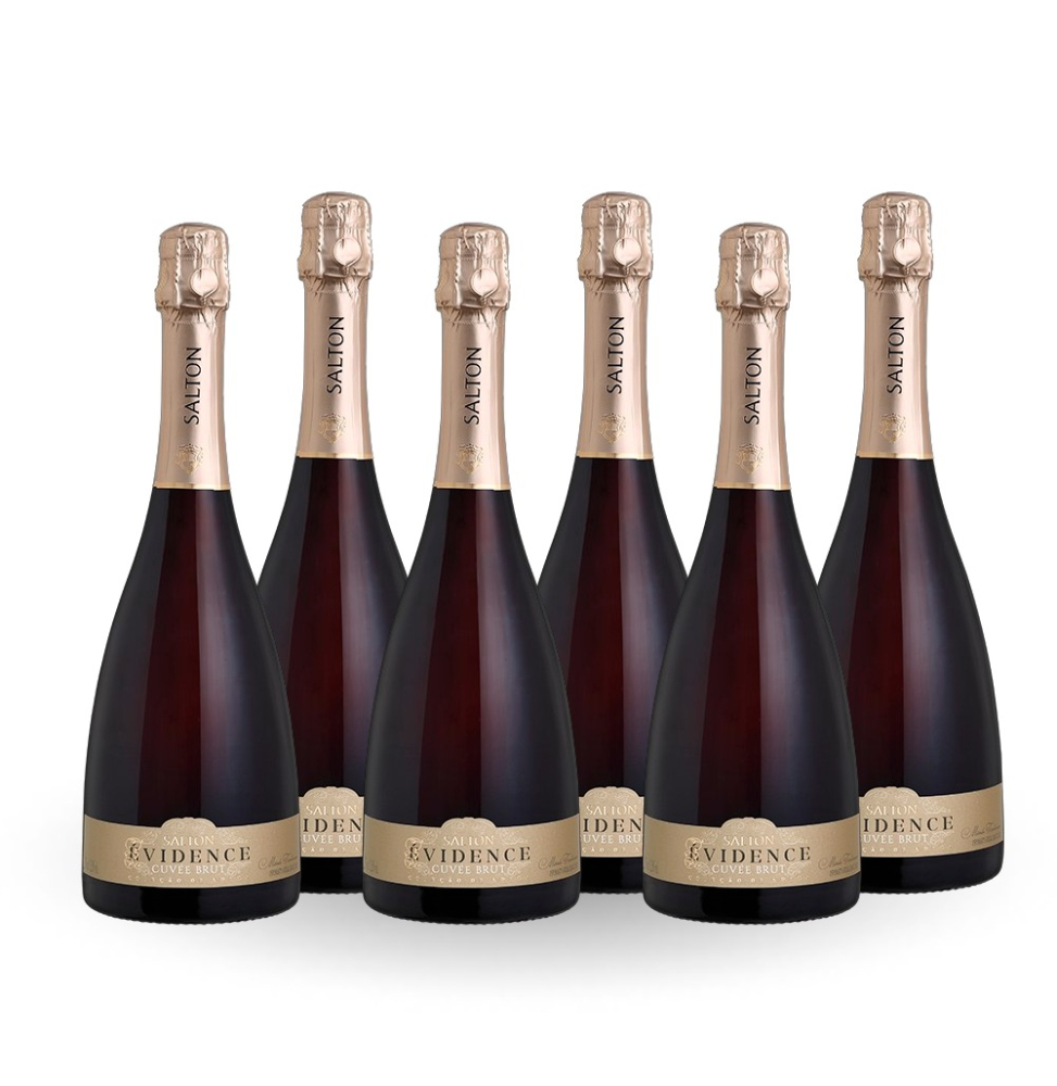 Compre 5 Leve 6 Espumante Salton Evidence 750ml