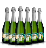 Pack Espumante Wave...