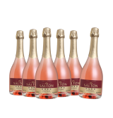 Pack Espumante Salton Ouro...