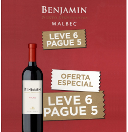 Compre 5 leve 6: Vinho Benjamin Nieto Malbec 750ml