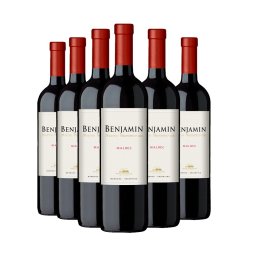 Compre 5 leve 6: Vinho Benjamin Nieto Malbec 750ml