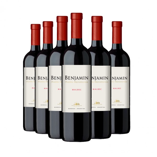 Compre 5 leve 6: Vinho Benjamin Nieto Malbec 750ml