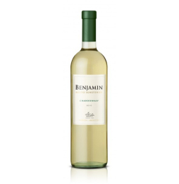 Vinho Benjamin Nieto Chardonnay 750ml