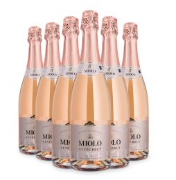 Pack Espumante Miolo Cuvée Tradition Brut Rosé 750ml