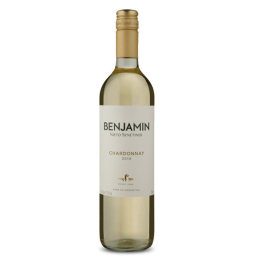 Vinho Nieto Senetiner Benjamin Chardonnay 750ml