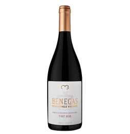 Vinho Benegas Estate Single Vineyard Finca La Encerrada Gualtallary Pinot Noir 750ml