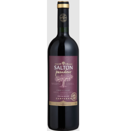 Vinho Salton Paradoxo Corte 2022 750ml