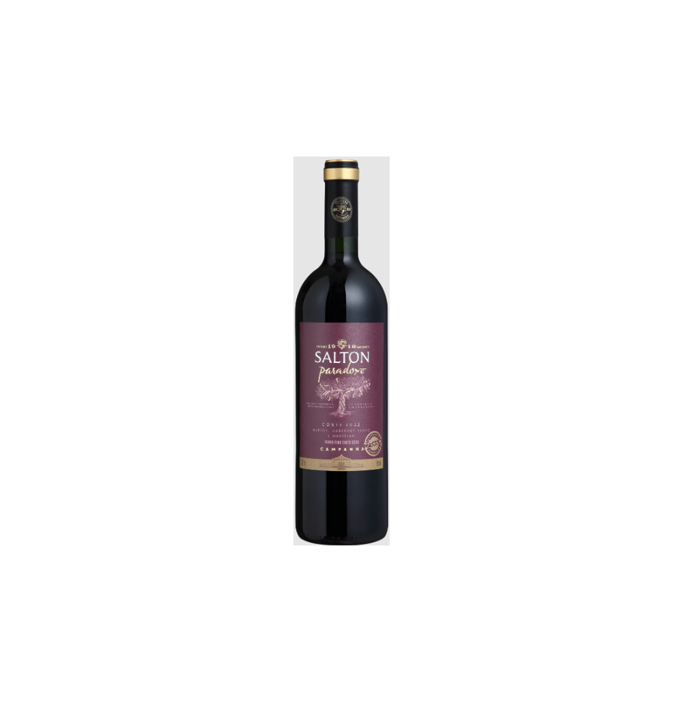 Vinho Salton Paradoxo Corte 2022 750ml