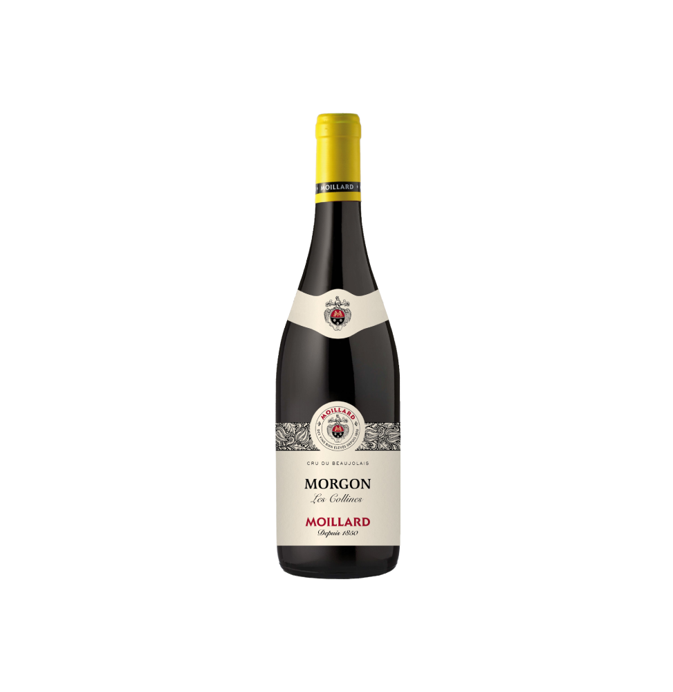 Vinho Moillard Beaujolais Morgon Les Collines AOP 750ml