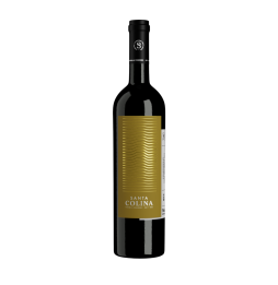 Vinho Santa Colina Chardonnay 750ml