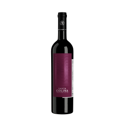 Vinho Santa Colina Pinot Noir 750ml