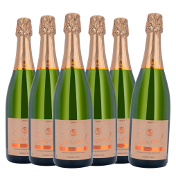 Pack Espumante Miolo Seival Brut 750ml