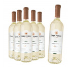 Compre 5 Leve 6: Vinho Casa Perini Chardonnay 750ml