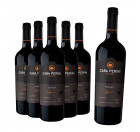 Compre 5 Leve 6: Vinho Casa Perini Tannat 750ml