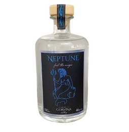 Gin Neptune 700ml