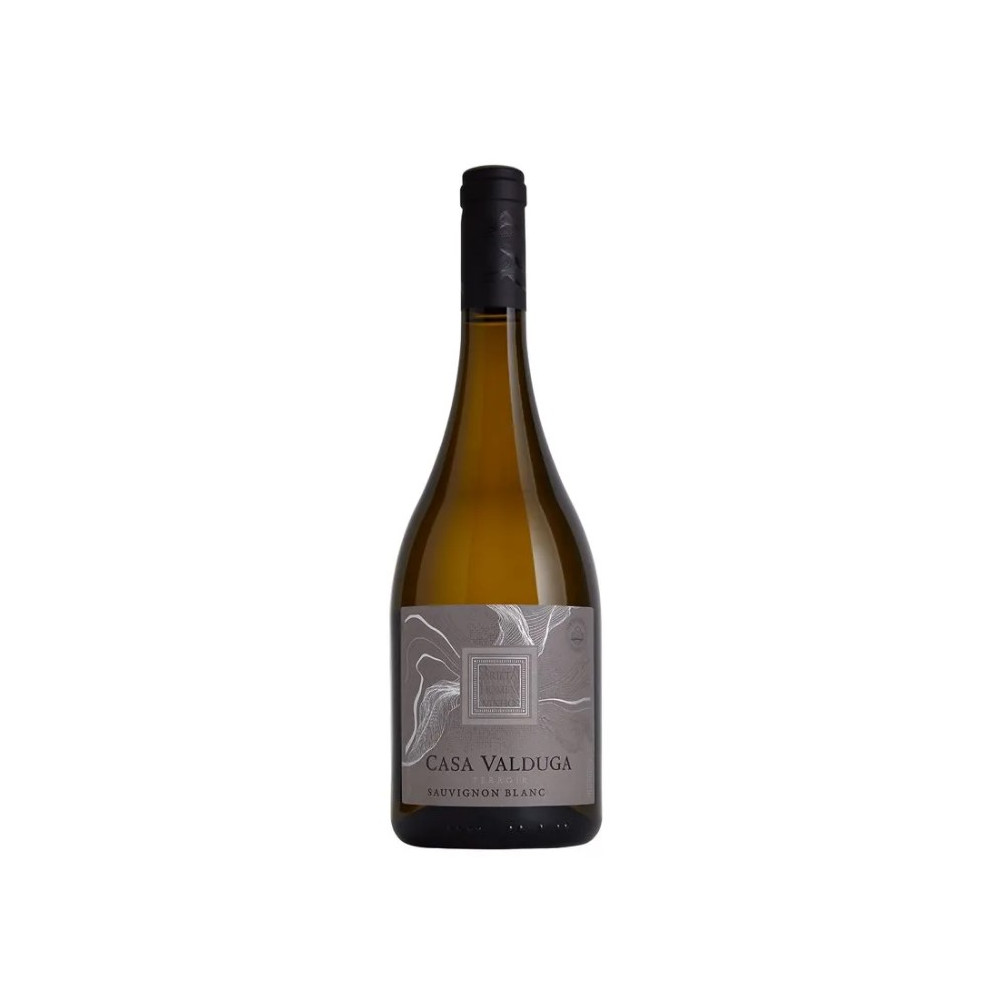 Vinho Casa Valduga Terroir Sauvignon Blanc 750ml